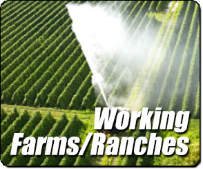 Functional Farms and Working Ranches Acreage