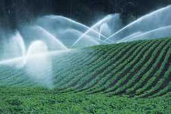  land, waterfront, farms, acreage, services, real estate