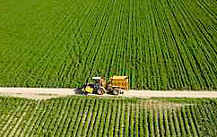 farm land, acreage, timberland, real estate